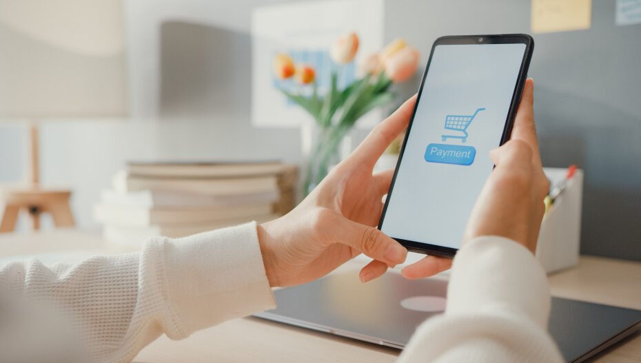 Biaya Pembuatan Aplikasi E-Commerce